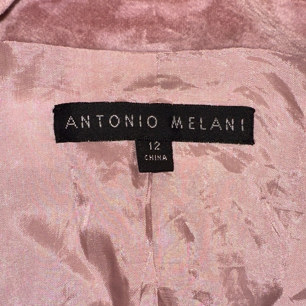 ANTONIO MELANI Pink Blazer - Picture 9 of 12